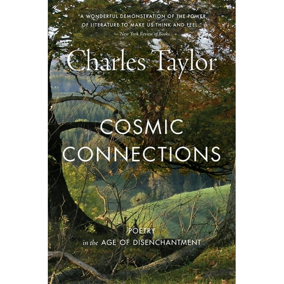 Cosmic Connections: Poetry in the Age of Disenchantment, (Paperback)