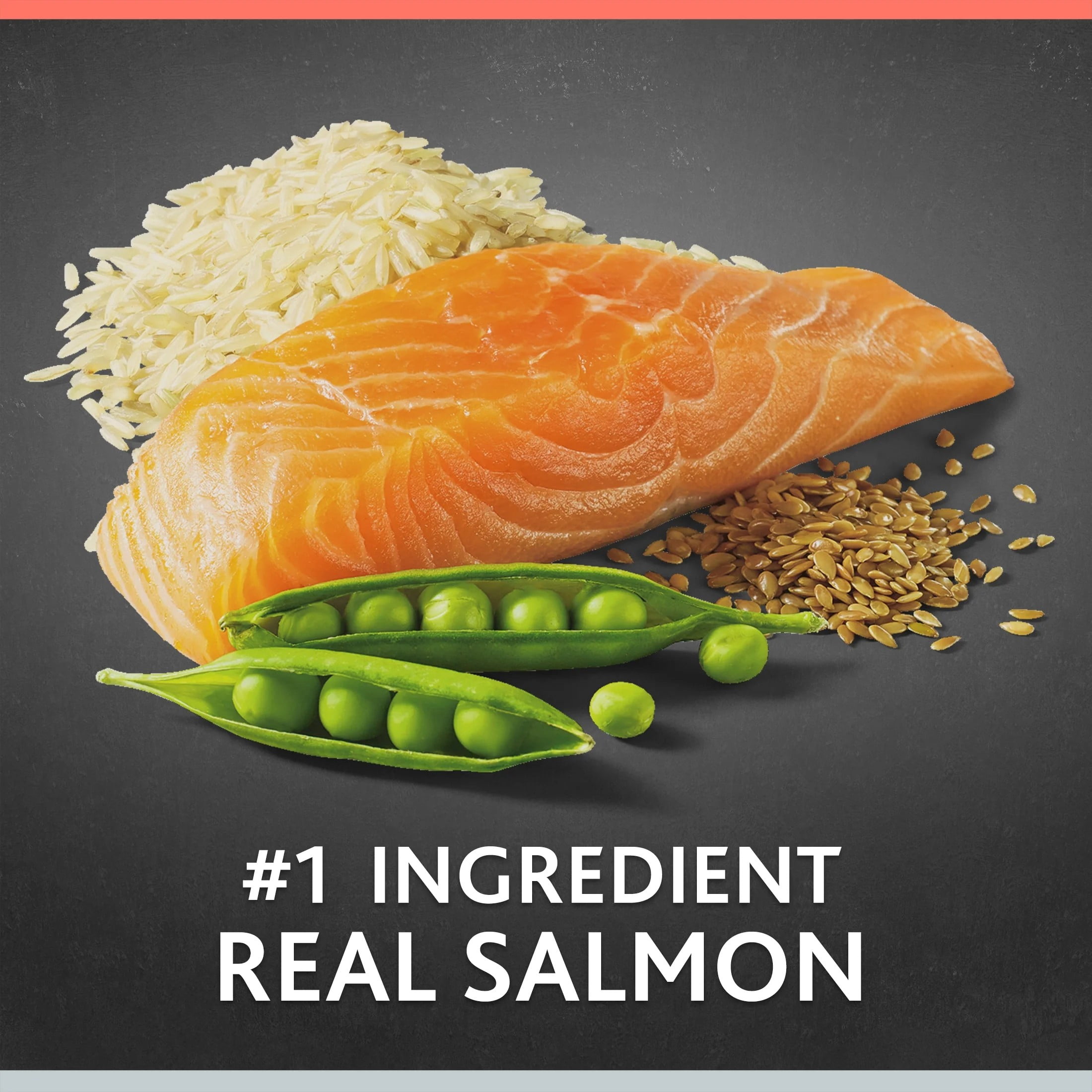 (4 pack) Pure Balance Pro+ Senior Salmon and Brown Rice Recipe Dry Dog Food, 8 lb