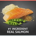 thumbnail image 3 of Pure Balance Pro+ Senior Salmon and Brown Rice Recipe Dry Dog Food, 8 lb, 3 of 12