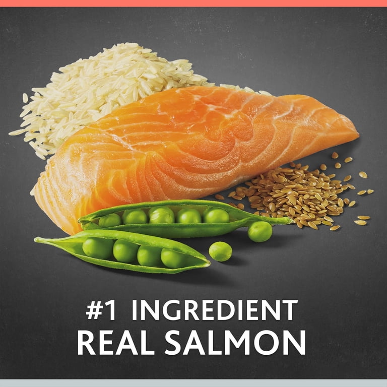 Pure Balance Pro+ Senior Salmon and Brown Rice Dog Food, 8 lb photo 3