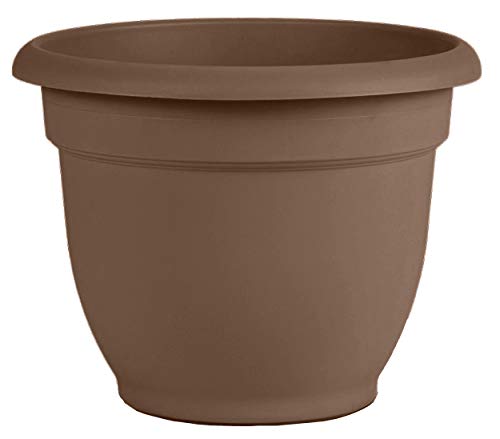 Bloem Ariana Self Watering Planter 6.5 x 5.25 Plastic Round Chocolate Brown