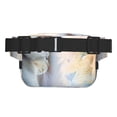 thumbnail image 3 of Fuzoiu The Cat Looks in the Mirror Print Unisex Square Double Layer Waist Bag,Crossbody Fanny Pack Travel Workout Accessory, 3 of 9