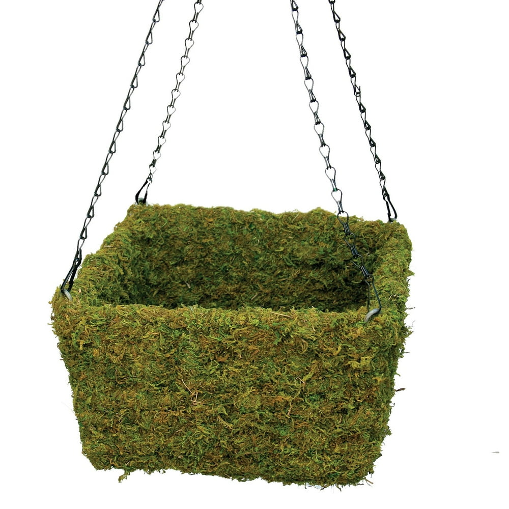 Super Moss 29312 Large Square Moss Hanging Basket Pack of 3 Walmart
