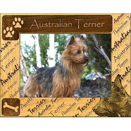 Giftworks Plus DBA0013 Australian Terrier, Alder Wood Frame, 3.5 x 5 In