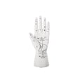 thumbnail image 1 of Urban Trends Collection 45034 Ceramic Palmistry Hand Decor Sculpture, Matte White, 1 of 1
