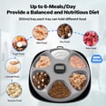 thumbnail image 2 of Comedero automático para gatos PetPrime 6-Meal con bolsas de hielo negro, 2 of 8