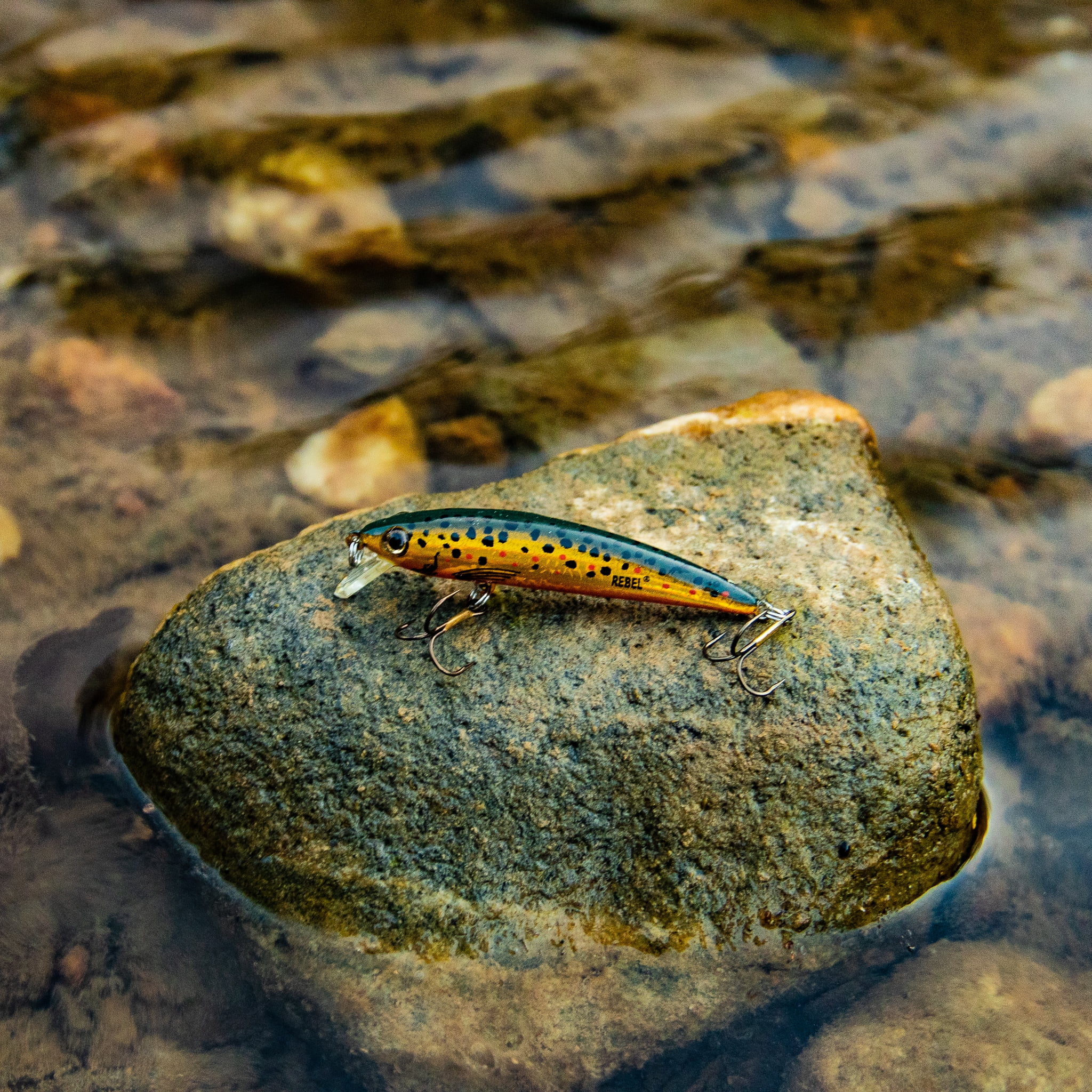 Rebel Track Down Ghost Minnow Slow Sinking Brown Trout 2 1/2" 1/8 oz.