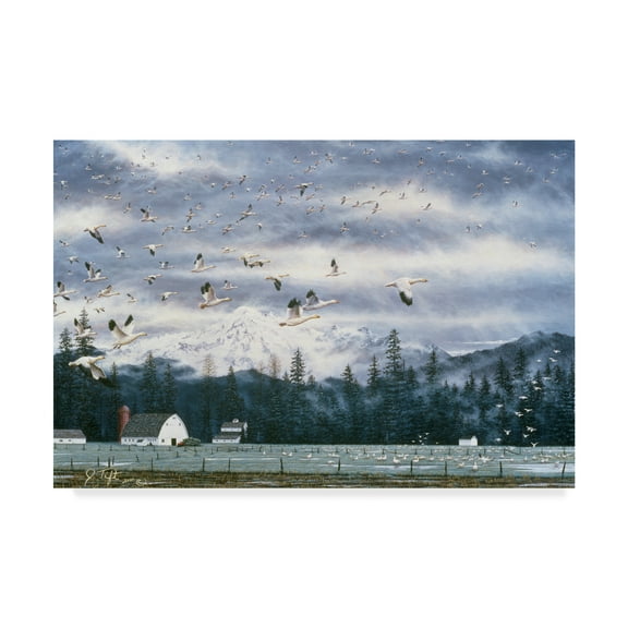 Trademark Fine Art 'Geese Flying Over Farmland' Canvas Art by Jeff Tift