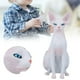 thumbnail image 5 of Modelo De Gato Sin Pelo, Modelo De Gato Exquisito, De Moda Para Maestros Coleccionistas ANGGREK PL127‑1563, 5 of 8