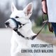 thumbnail image 2 of GoodBoy Dog Head Halter con correa de seguridad - Topes, 2 of 5
