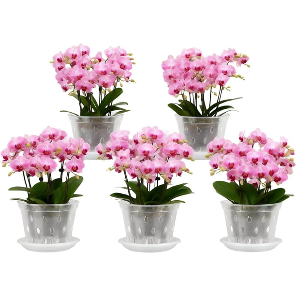 Macetas de Orquidea, Paquete De 5 Macetas de Vivero de Plástico Transparente para Kit de Orquídeas con Agujeros y Platillos, para Interiores Y Exteriores Plantas Flores