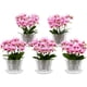 thumbnail image 1 of Macetas de Orquidea, Paquete De 5 Macetas de Vivero de Plástico Transparente para Kit de Orquídeas con Agujeros y Platillos, para Interiores Y Exteriores Plantas Flores, 1 of 4