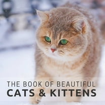 Picture & Activity Books for Seniors The Book of Beautiful Cats & Kittens, Book 1, (Paperback)