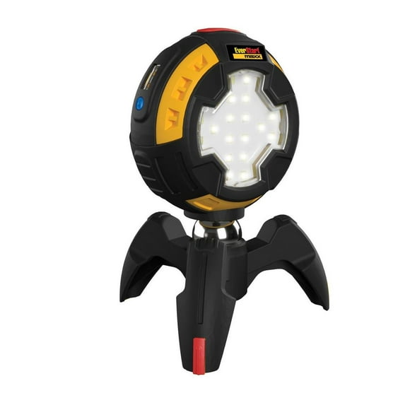 Everstart Maxx Light