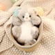 thumbnail image 1 of Sleeping In Pet Pad Doll Toy, Mini In Pet Pad With Decor For Office Desk Toy Kids Boys Girls, 1 of 1