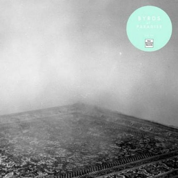 Byrds Of Paradise - Teenage Symphonies - Vinyl