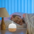 thumbnail image 1 of Boreal Craft "Wood Grain Aromatherapy Diffuser Mist Humidifier – Quiet Operation Aroma Oil Compatible Room Moisturizer With LED Lights & Auto Shut Off" Smart Temp Hot Cold Pad, 1 of 6