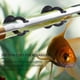 thumbnail image 4 of Brandnew Suction Cups Sucker Clips Aquarium Black Fish Tank Holder Rubber, 4 of 11
