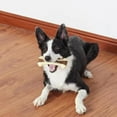 thumbnail image 4 of Dog Bones Chew Toys for Aggressive Chewers,2Pack Real Beef Flavor,Indestructible, 4 of 6