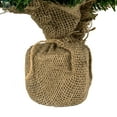 thumbnail image 5 of Northlight Pre-Lit Two-Tone Green Pine Artificial Christmas Tree in Burlap - 18" - Clear LED Lights, 5 of 5