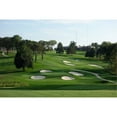 thumbnail image 3 of Barenbrug Turf Savor RTF Grass Seed Blend with Yellow Jacket Seed Coating, 25lb, 3 of 5