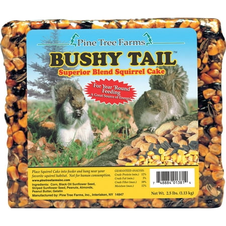 Pine Tree Farms Inc-Bushy Tail Squirrel Cake 2.5