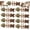 9PCS, variant on 2026 New Creative Fish Bone Cat Dental Chew Toy,Fishbone Catnip and Silvervine Chew,Wooden Catnips Teeth Cleaning Stick,Creative Fish Bone Cat Toy for Cats & Kittens (6PCS)