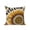 Beige, variant on 1 Pack Outdoor Throw Pillow, Welcome Waterproof Pillow with Insert Included, Summer Sunflowers Bohemia Floral Rustic Brown Wood Decorative Accent Cushion Sofa Pillows for Patio Porch, 16 x 16 In