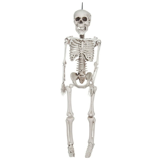 Squelette Réaliste en Plastique de 12 Pouces