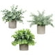thumbnail image 1 of Set de 3 macetas decorativas HappyWare plantas artificiales diseño Moderno, 1 of 4