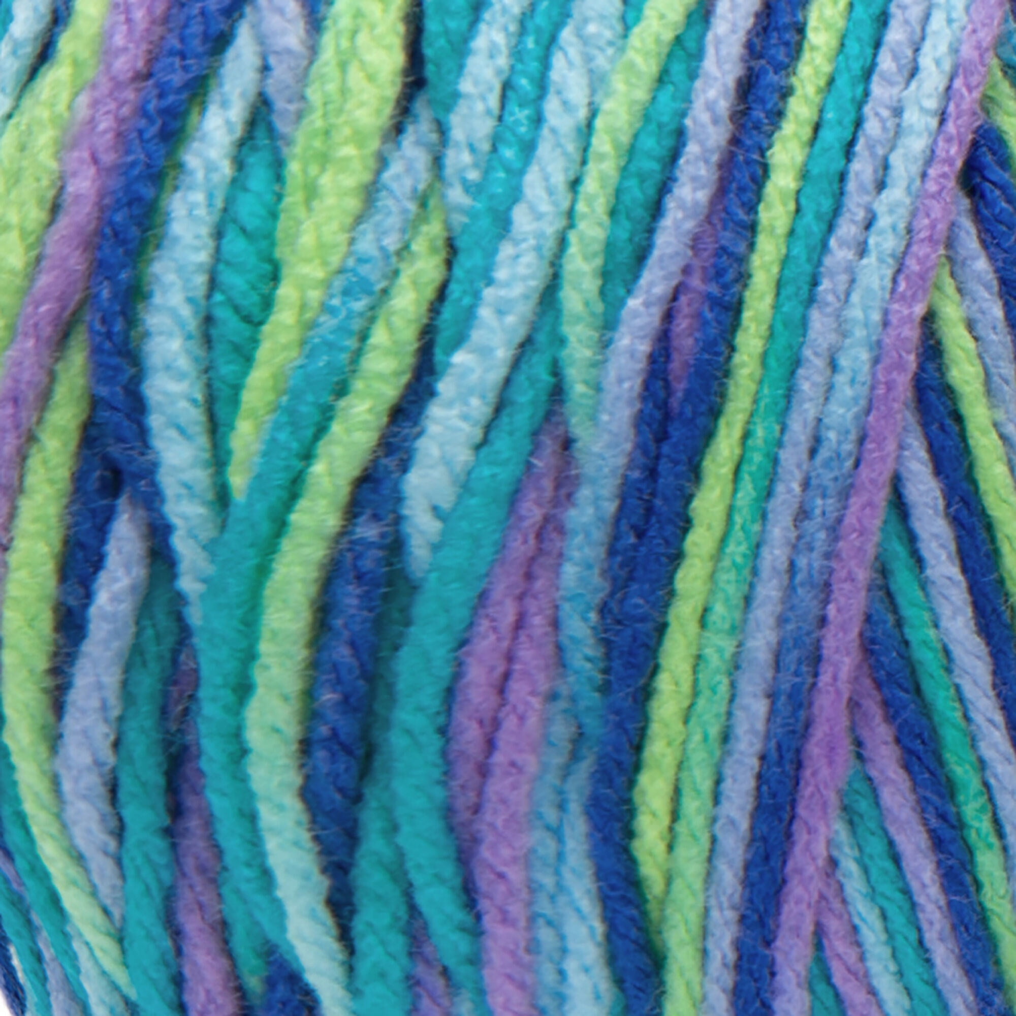 Red Heart® Super Saver Jumbo™ #4 Worsted Acrylic Yarn, Wildflower 10oz/283g 482 Yards (2 Pack)