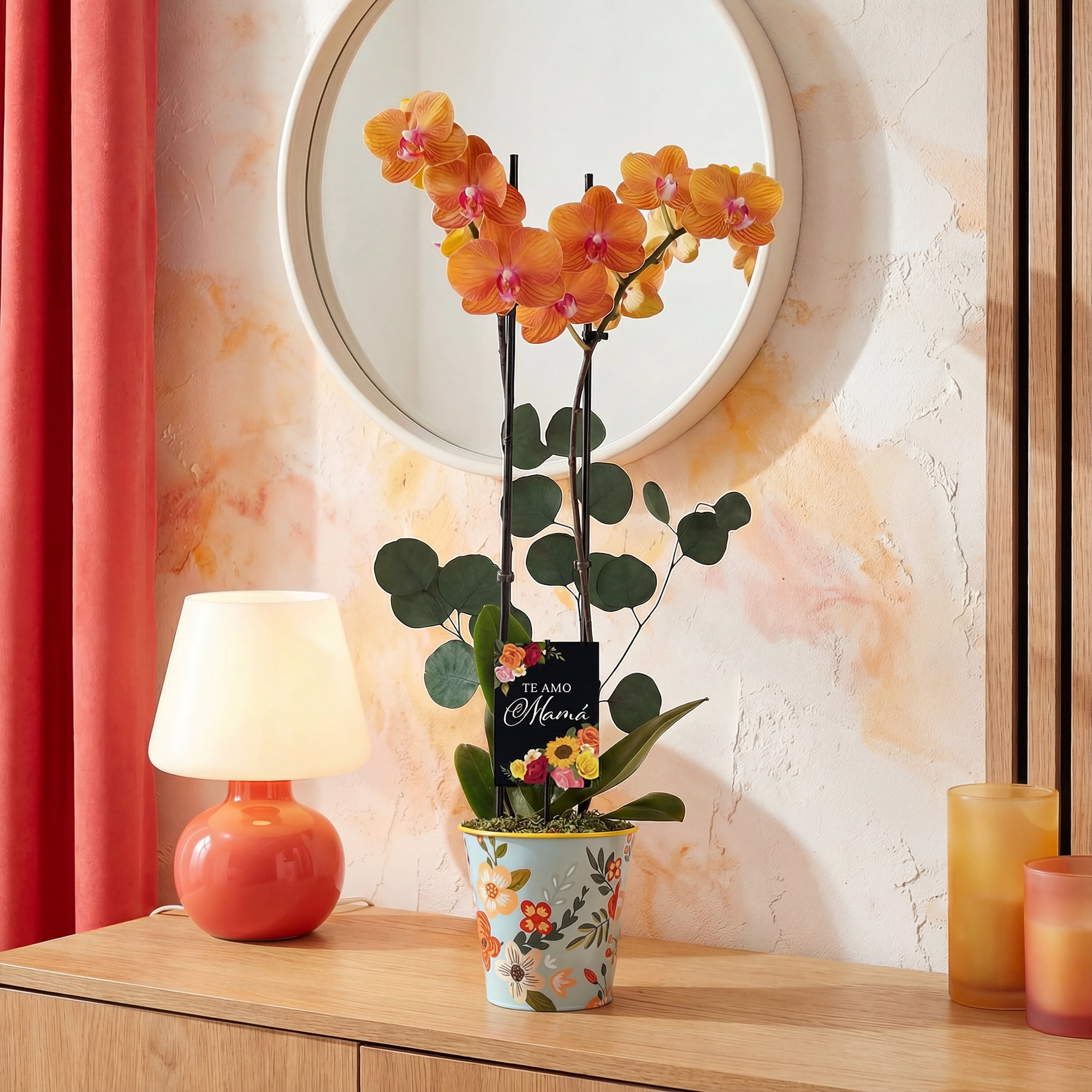 Green Circle Growers 5" Salmon Orchid Live Plant in Rifle Tin Planter – Mother’s Day Gift Indoor Flowering Houseplant