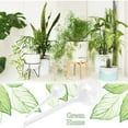 thumbnail image 2 of 5 Pcs Plant Watering Globes,Self-Watering Bulbs,Vacation Automatic Plant Watering Devices,Garden Drip Irrigation for Potted Plants, 2 of 9