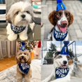 thumbnail image 4 of Adorable Cartoon Bandana Scarf & Party Hat Set for Small to Medium Breeds - Soft Cotton, Polyester, and Spandex Blend - Woven Construction - Fun Birthday Accessory for Pets, 4 of 5