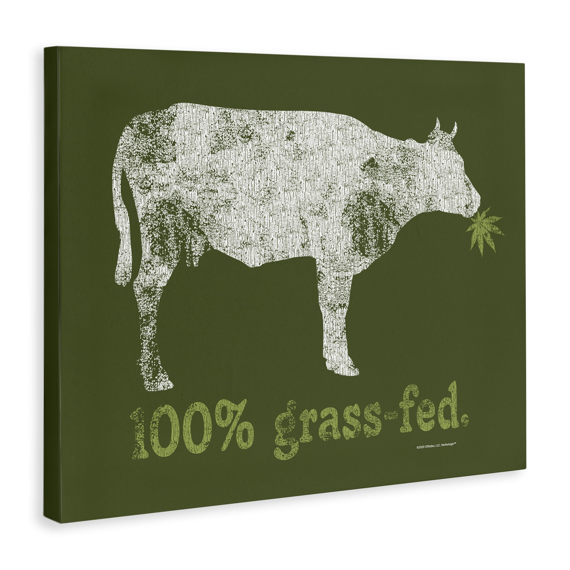 Stupell Industries Grass Fed Cow Animals Painting Wrapped Canvas Art Print Wall Art, 48 x 36