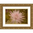 thumbnail image 1 of Murdock, Ramona 14x11 Gold Ornate Wood Framed with Double Matting Museum Art Print Titled - Heirloom Pink, 1 of 4