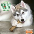 thumbnail image 5 of Nylabone Healthy Edibles All-Natural Long Lasting Puppy Chew Treats Lamb & Apple X-Large (1 Count), 5 of 9
