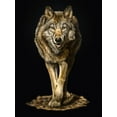 thumbnail image 2 of LaMontagne, Patrick 25x32 Gold Ornate Wood Framed with Double Matting Museum Art Print Titled - Walking Wolf, 2 of 4