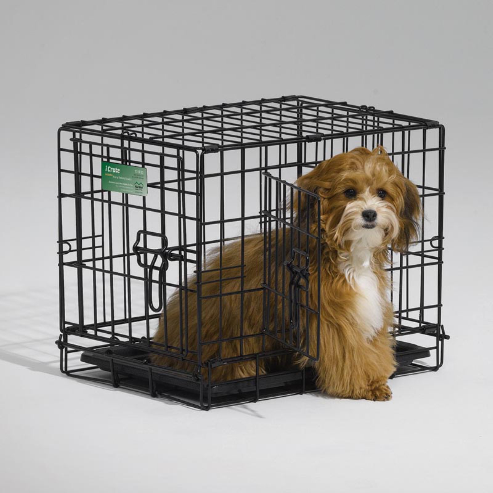 MidWest Homes For Pets Double Door iCrate Metal Dog Crate, 36" - image 4 of 10