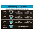 thumbnail image 6 of Pure Balance Pro+ Chicken and Rice Recipe, Puppy Food, 16 lb, 6 of 8