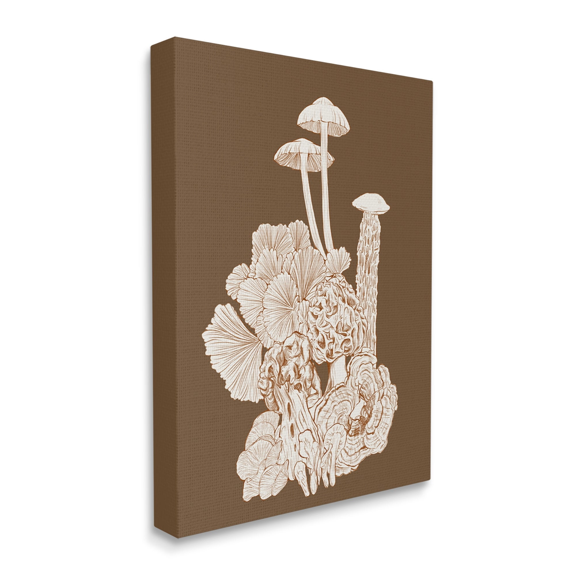 Stupell Industries Mushrooms Forest Flora Plants Arrangement Intricate Detail Graphic Art Gallery Wrapped Canvas Print Wall Art, Design by Ziwei Li