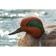 thumbnail image 2 of Large Mallard With Green Wing, 2 of 6