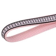 thumbnail image 5 of Red Dingo Reflective Bones Pink Dog Leash, Small, Adjustable Length, 5 of 5