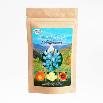 Created By Nature Oklahoma Wildflower Seed Mix, 17 Flower Varieties, 60,000  Seeds - Walmart.com