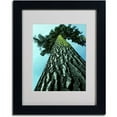 thumbnail image 2 of Trademark Art 'A Tree of Life' Framed Matted Art by Kurt Shaffer, 2 of 2