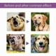 thumbnail image 2 of Pet Calming Pheromone Spray for Dogs and Cats Relaxation Solution, 2 of 5