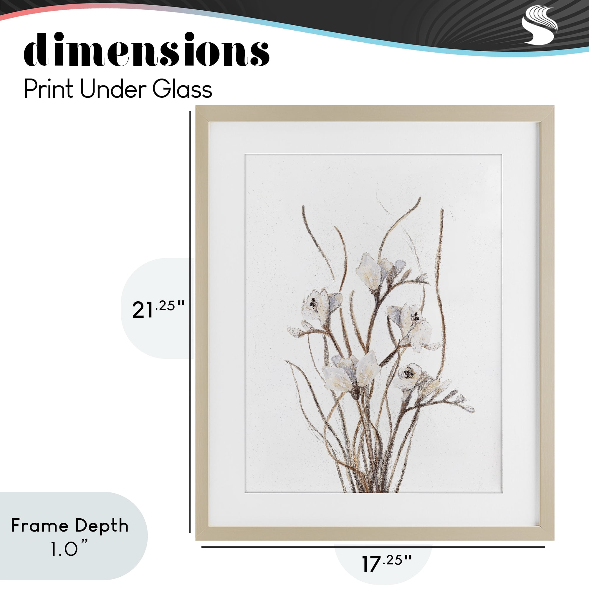 Stupell Industries Curly Branches on White Birch Framed Print Under Glass, design by Lanie Loreth