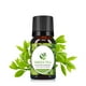 thumbnail image 3 of Perfumes para caballero Aceite de aromaterapia Grado terapéutico Aroma soluble en agua 10ML(Buy 2 Save 10%), 3 of 6