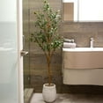 thumbnail image 6 of Nearly Natural 5ft. Artificial Olive Tree with Natural Trunk, 6 of 7