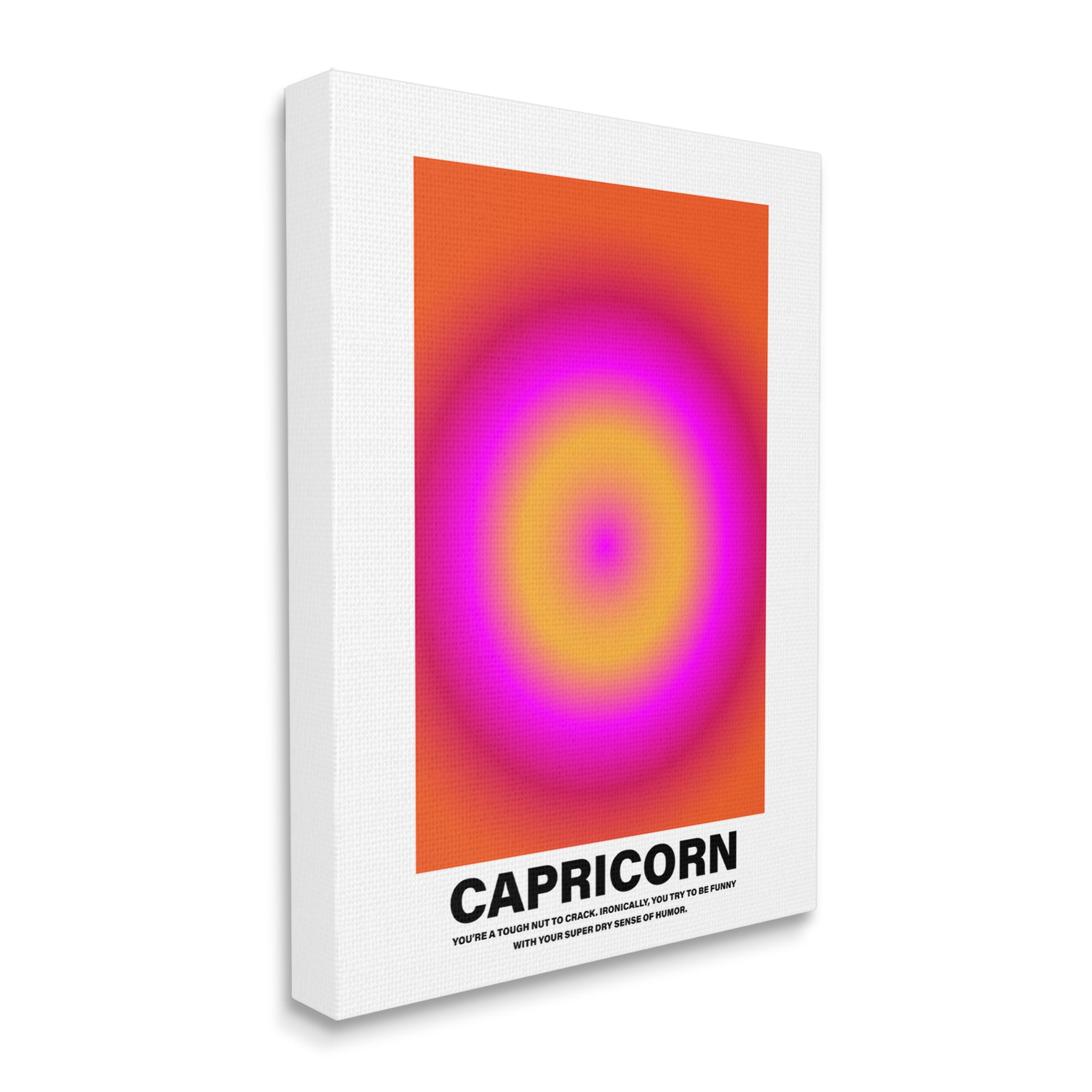 Stupell Industries Funny Capricorn Astrology Abstract Painting Gallery Wrapped Canvas Art Print Wall Art, 16 x 20